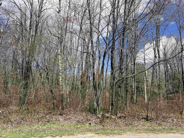 00 Wood Rd NE, Kalkaska, MI 49646