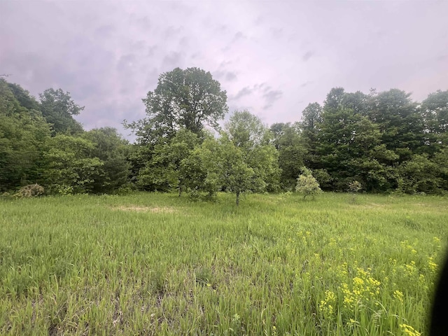 00 Wood Rd NE, Kalkaska, MI 49646