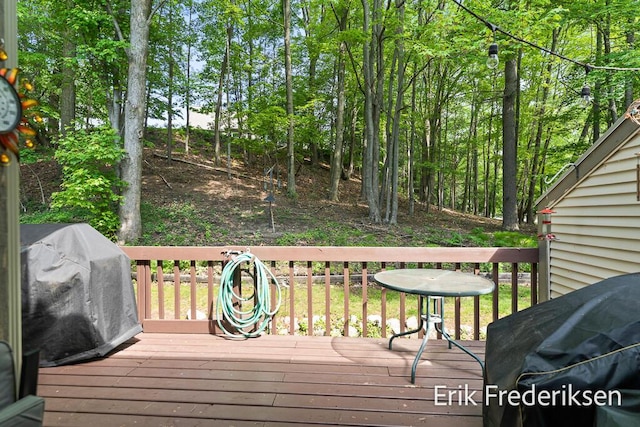17879 Hidden Dunes Ln Unit D, Spring Lake, MI 49456 - deck with area for grilling
