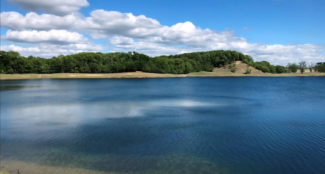 17879 Hidden Dunes Ln Unit D, Spring Lake, MI 49456 - water view with a forest