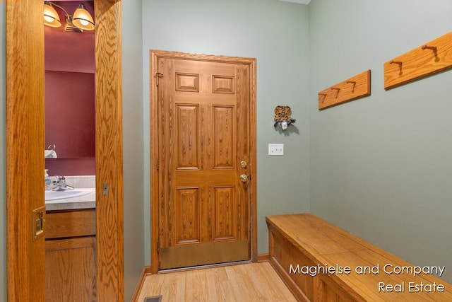 4349 Walter Rd, Wayland, MI 49348 - mudroom featuring light wood finished floors and a sink