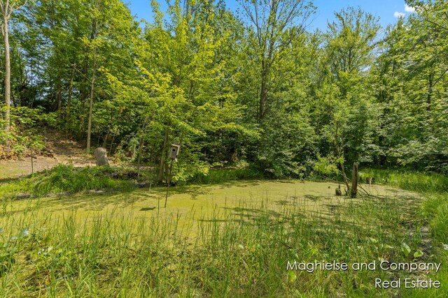 4349 Walter Rd, Wayland, MI 49348 - view of woods