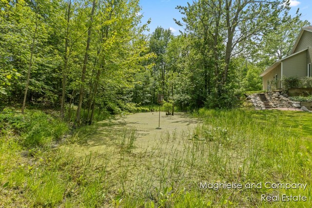 4349 Walter Rd, Wayland, MI 49348 - view of nature