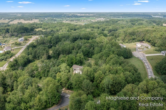4349 Walter Rd, Wayland, MI 49348 - aerial view of property and surrounding area featuring a forest