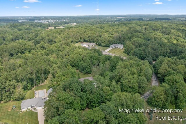 4349 Walter Rd, Wayland, MI 49348 - aerial view of property's location with a heavily wooded area