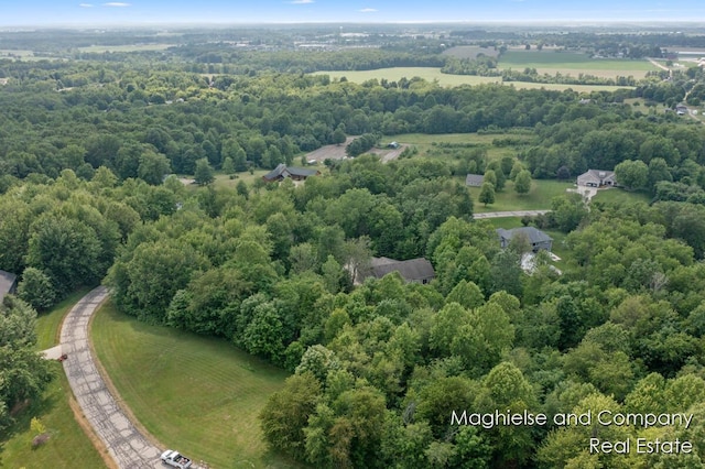 4349 Walter Rd, Wayland, MI 49348 - aerial view of a forest