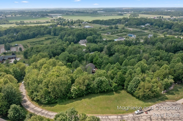 4349 Walter Rd, Wayland, MI 49348 - bird's eye view