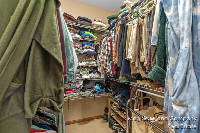 4349 Walter Rd, Wayland, MI 49348 - walk in closet with carpet floors