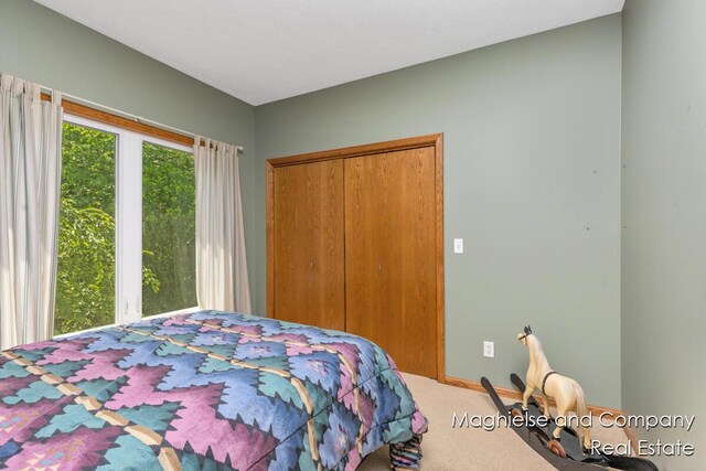4349 Walter Rd, Wayland, MI 49348 - bedroom featuring carpet floors and a closet