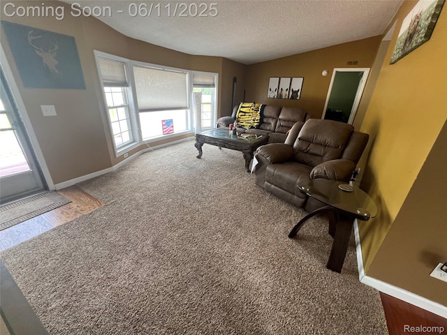 5550 Howe Rd, Grand Blanc, MI 48439 - carpeted living area with vaulted ceiling, a textured ceiling, and baseboards