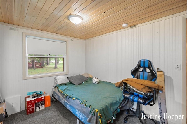 10131 Birch Dr, Riverdale, MI 48877 - photo 43