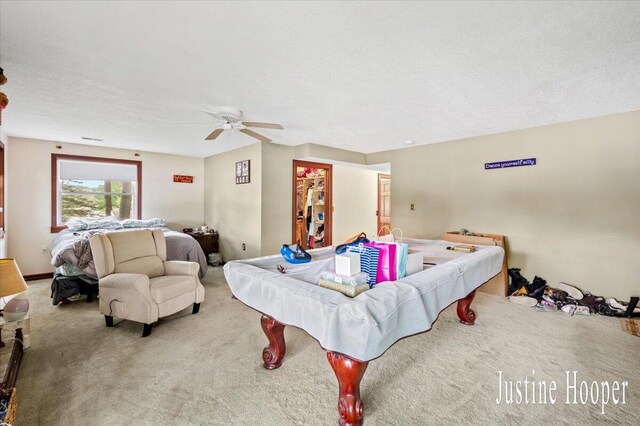 10131 Birch Dr, Riverdale, MI 48877 - photo 30