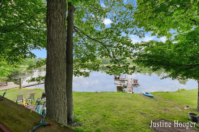 10131 Birch Dr, Riverdale, MI 48877 - photo 21
