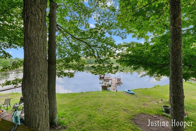 10131 Birch Dr, Riverdale, MI 48877 - photo 22