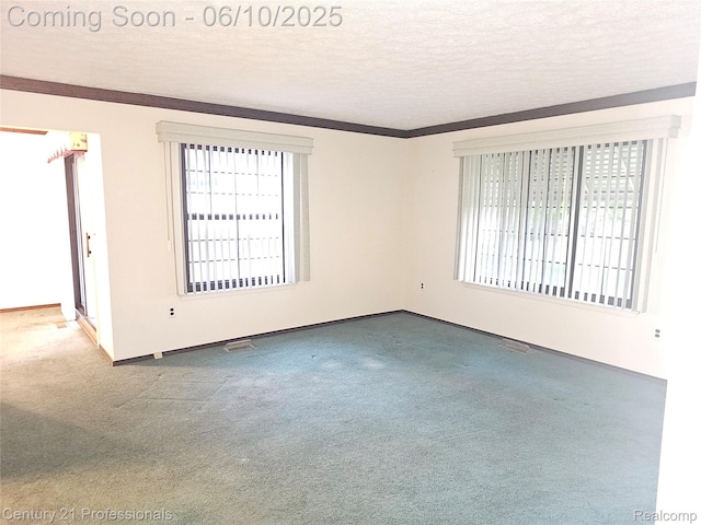 40859 Newport Dr, Plymouth, MI 48170 - spare room with carpet floors, a textured ceiling, baseboards, and ornamental molding