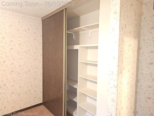 40859 Newport Dr, Plymouth, MI 48170 - view of closet