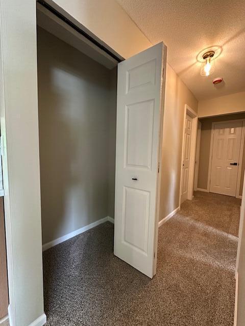 5511 Sunset Ct, Oscoda, MI 48750 - view of closet