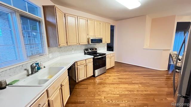43573 E Perignon Dr N, Sterling Heights, MI 48314 - kitchen featuring stainless steel appliances, a sink, light wood finished floors, light countertops, and backsplash