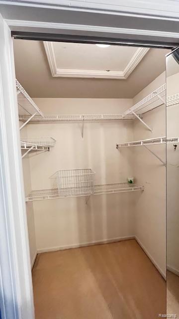 43573 E Perignon Dr N, Sterling Heights, MI 48314 - view of spacious closet