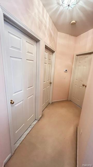 43573 E Perignon Dr N, Sterling Heights, MI 48314 - hallway with light carpet and baseboards