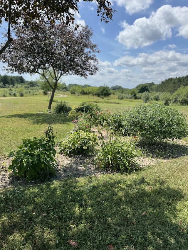 3828 90th Ave, Evart, MI 49631 - view of green lawn featuring a view of countryside