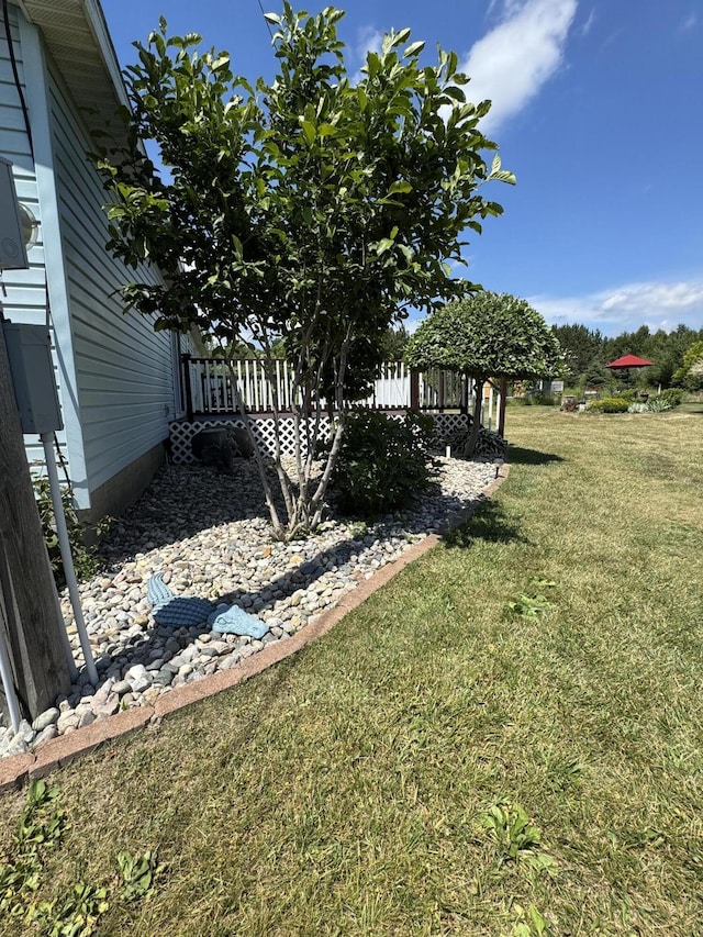 3828 90th Ave, Evart, MI 49631 - view of grassy yard