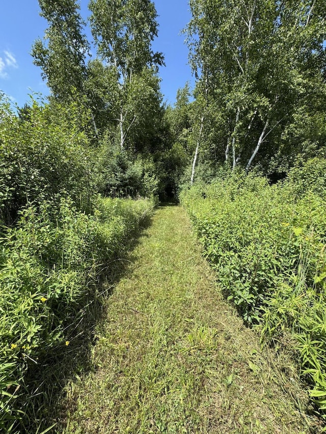 3828 90th Ave, Evart, MI 49631 - view of undeveloped land