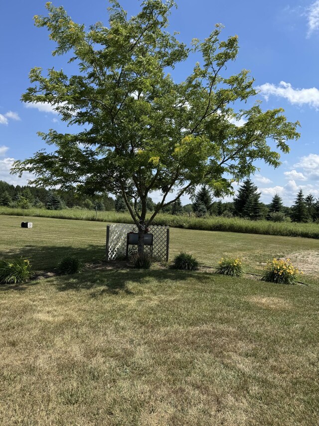 3828 90th Ave, Evart, MI 49631 - view of grassy yard with a view of countryside