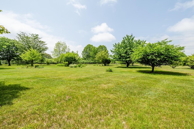 2900 Boyer Rd, Coloma, MI 49038 - view of green lawn