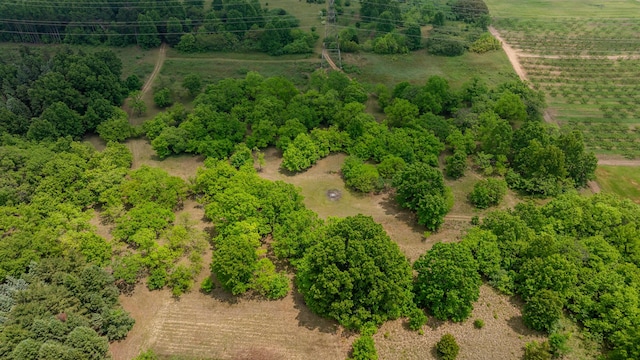 2900 Boyer Rd, Coloma, MI 49038 - view of rural area