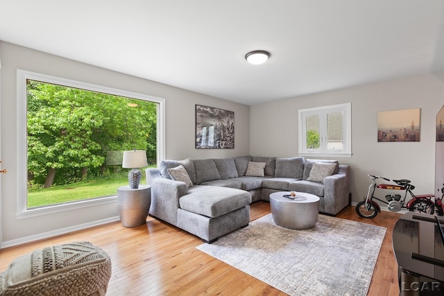 603 Outer Dr, Tecumseh, MI 49286 - living room featuring plenty of natural light and hardwood / wood-style flooring