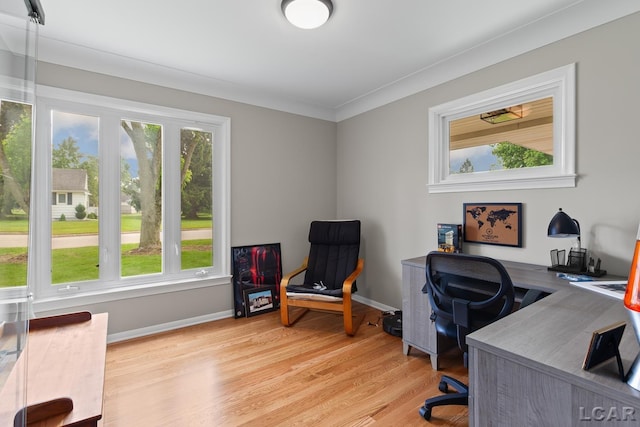 603 Outer Dr, Tecumseh, MI 49286 - home office featuring light wood finished floors, baseboards, and ornamental molding