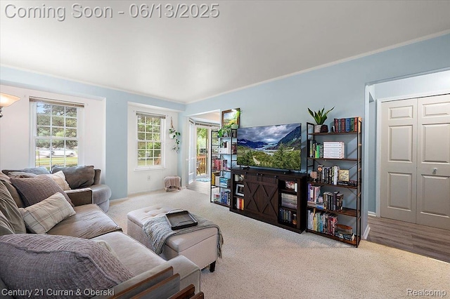 7456 N Kingston Ct, Westland, MI 48185 - carpeted living area with ornamental molding and baseboards