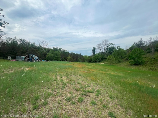 11755 Jakob Ln, Lachine, MI 49753 - view of yard featuring a wooded view