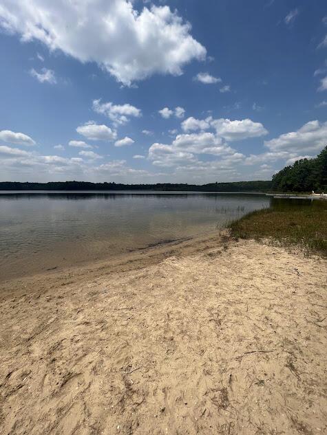 2599 Pleasant Lake Shore Dr, Cadillac, MI 49601