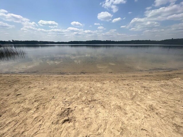 2599 Pleasant Lake Shore Dr, Cadillac, MI 49601