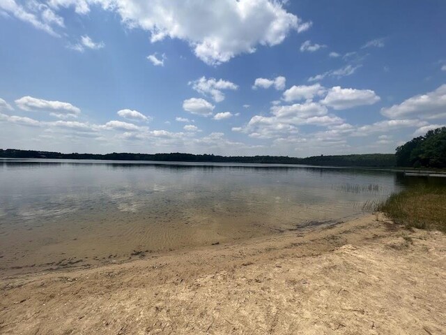2599 Pleasant Lake Shore Dr, Cadillac, MI 49601