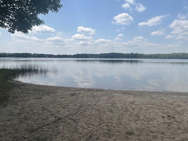 2599 Pleasant Lake Shore Dr, Cadillac, MI 49601