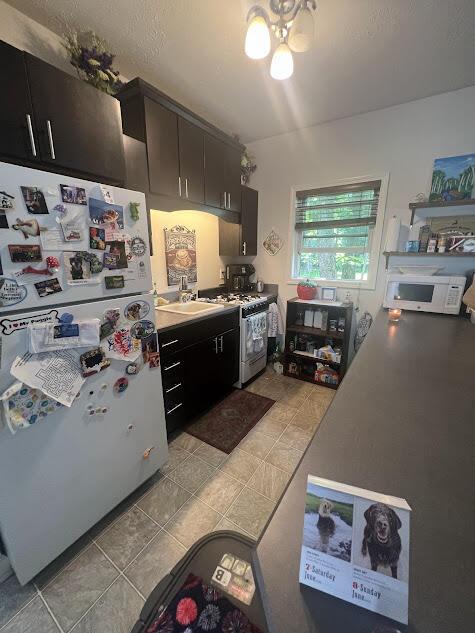 2599 Pleasant Lake Shore Dr, Cadillac, MI 49601