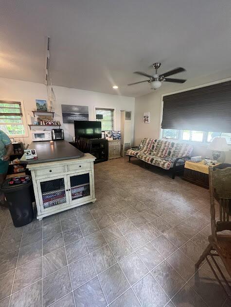 2599 Pleasant Lake Shore Dr, Cadillac, MI 49601