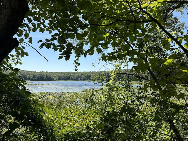 9679 Almena Dr, Kalamazoo, MI 49009 - water view featuring a forest