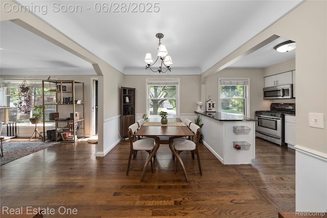 4507 Groveland Ave, Royal Oak, MI 48073 - dining space featuring a chandelier, dark wood-style flooring, wainscoting, and arched walkways