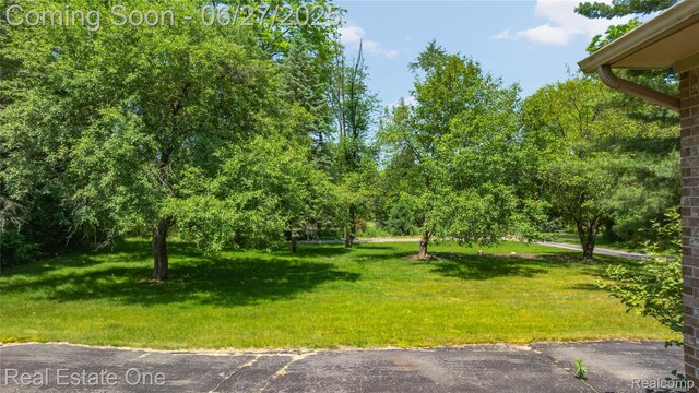 1145 W Moore Rd, Milford, MI 48381 - view of grassy yard