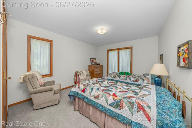 1145 W Moore Rd, Milford, MI 48381 - bedroom with carpet and baseboards