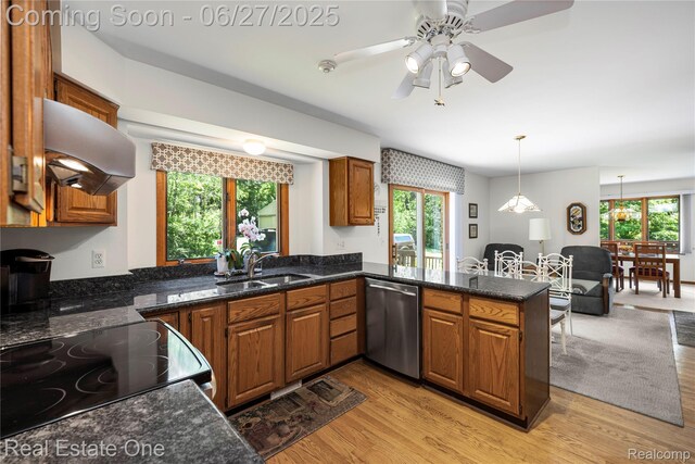 1145 W Moore Rd, Milford, MI 48381 - kitchen featuring stainless steel dishwasher, brown cabinetry, plenty of natural light, and light wood-type flooring