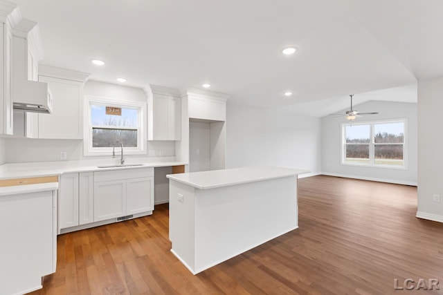 2819 Eunice Cir, Adrian, MI 49221 - kitchen featuring a sink, ceiling fan, light wood-type flooring, white cabinets, and a center island