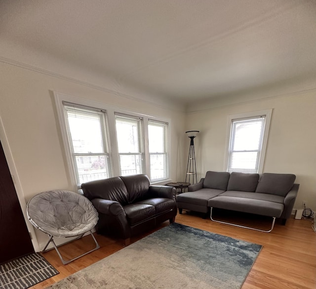 26314 E St, Saint Clair Shores, MI 48081 - living area featuring plenty of natural light and light wood-style floors