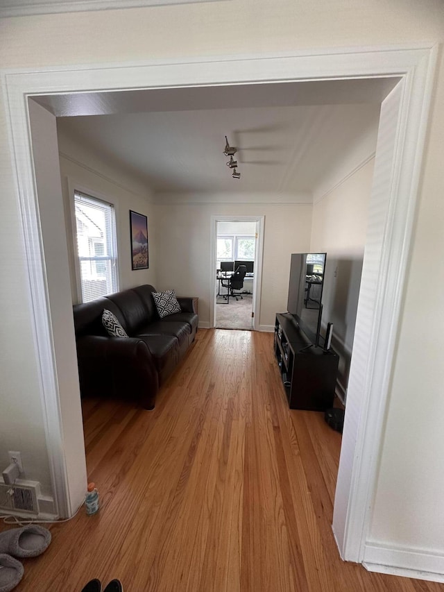 26314 E St, Saint Clair Shores, MI 48081 - living room featuring light wood-style flooring, track lighting, plenty of natural light, and baseboards