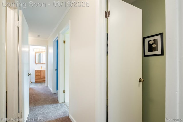 38265 Saint Joe Dr, Westland, MI 48186 - hall featuring ornamental molding, carpet, and baseboards