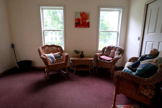 113 S Park St, Union City, MI 49094 - living area with carpet